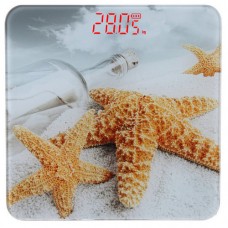 Вага підлогова 2017С (1/10)